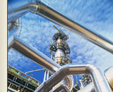 Executive Energy MBA