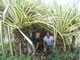 Costa Rica 006